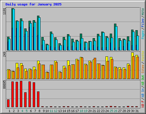 Daily usage for January 2025