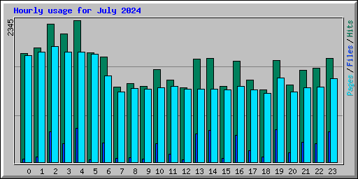 Hourly usage for July 2024