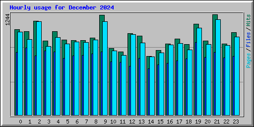 Hourly usage for December 2024