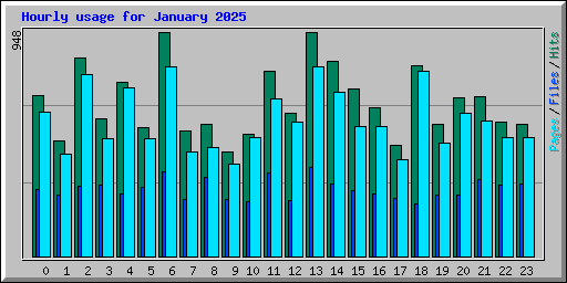 Hourly usage for January 2025